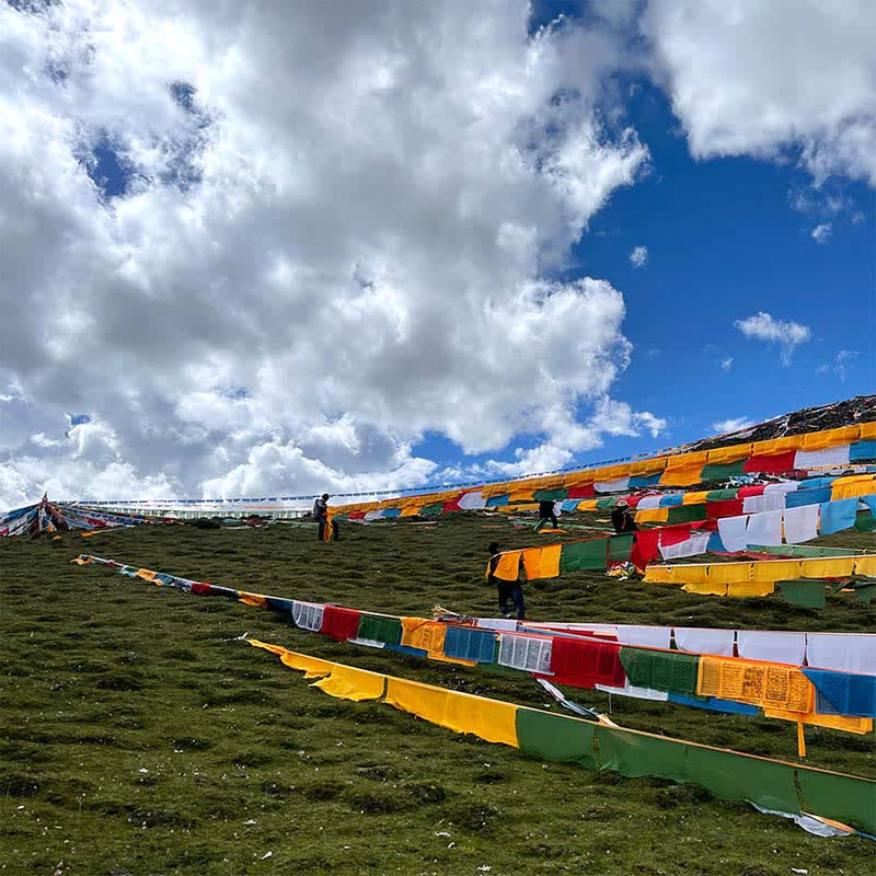 Nimara Ritual Tibetan 5 Colors Windhorse Auspicious Outdoor 25 Pcs Prayer Flag