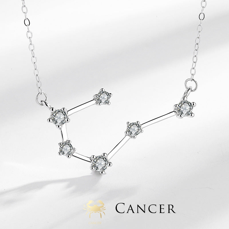 Nimara Ritual 925 Sterling Silver 12 Constellations of the Zodiac Astrology Blessing Necklace Pendant