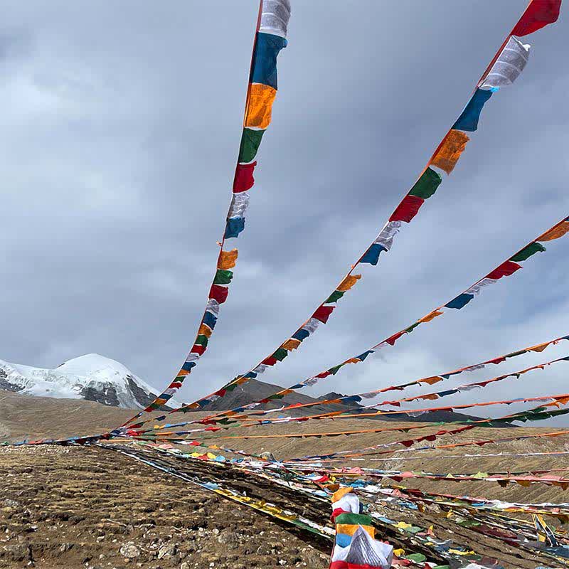 Nimara Ritual Tibetan 5 Colors Windhorse Auspicious Outdoor 25 Pcs Prayer Flag