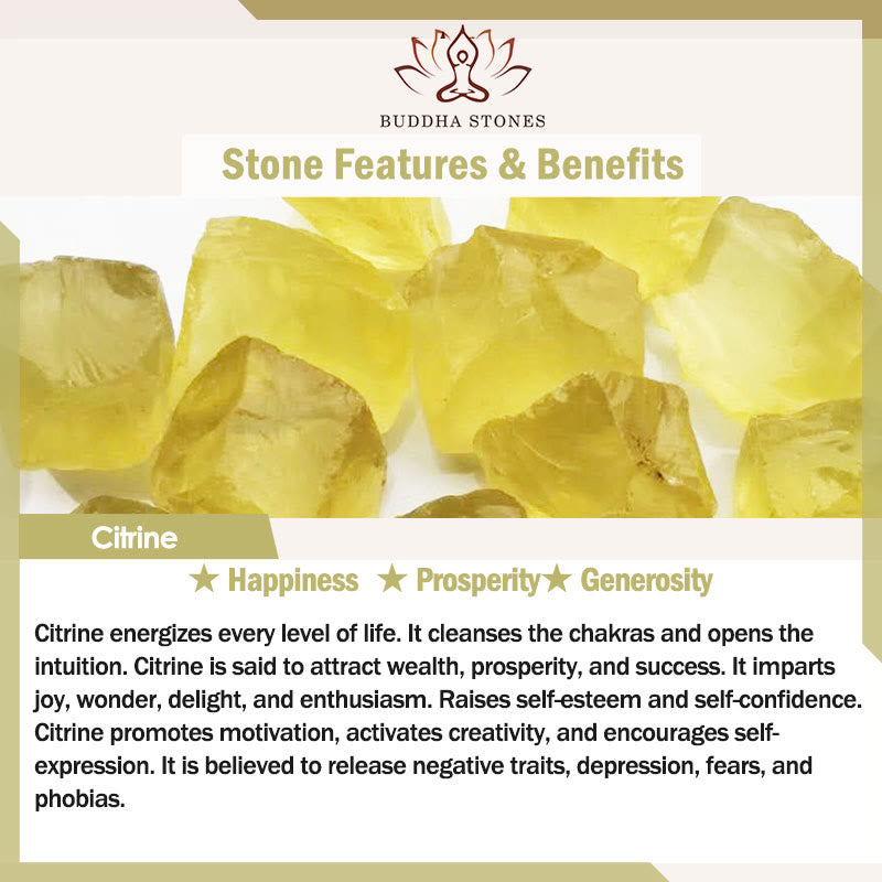 Nimara Ritual Natural Various Crystal Strawberry Quartz Amethyst Nine Tailed Fox Protection Home Decoration