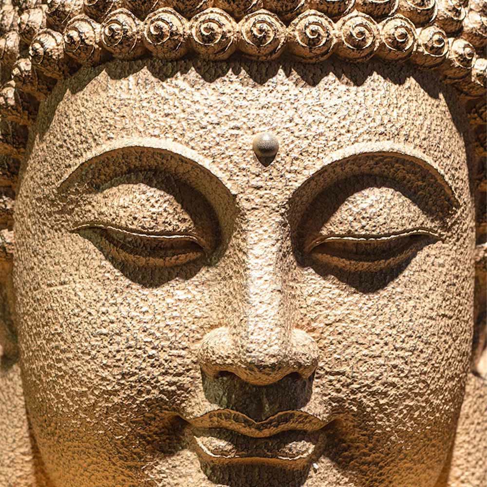 Nimara Ritual Closed Eyes Meditating Buddha Head Resin Statue Zen Home Decoration 42*30*30cm