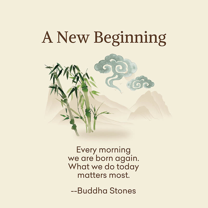 Nimara Ritual "A New Beginning" Bamboo Micro Crew Women's Socks Includes Gift Message Card