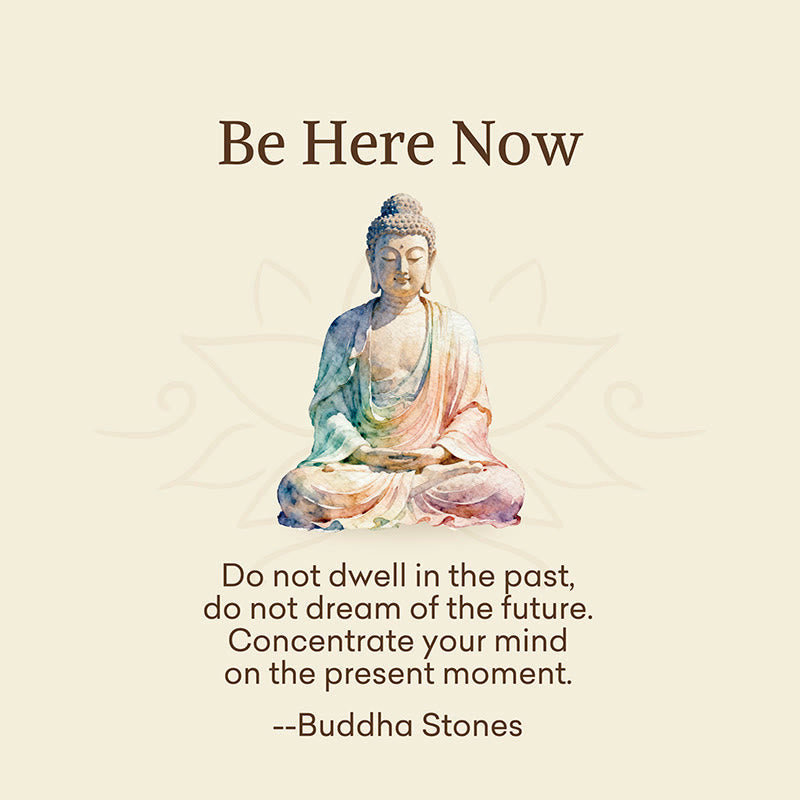 Nimara Ritual "Be Here Now" Casual Buddha Lotus Dragonfly Women's Socks Includes Gift Message Card