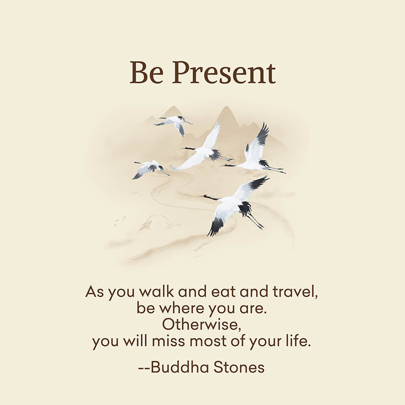 Nimara Ritual "Be Present" Casual White Red Cranes Men Women Unisex Socks Includes Gift Message Card