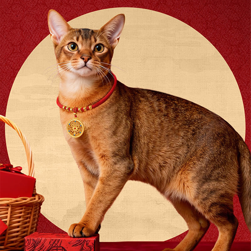 Nimara Ritual Red String Bead Compass Gourd Protection Adjustable Cats Dogs Pet Collar