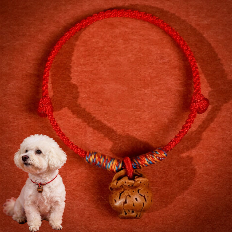 Nimara Ritual Plaited Peach Pit Red String Strength Adjustable Cats Dogs Pet Collar