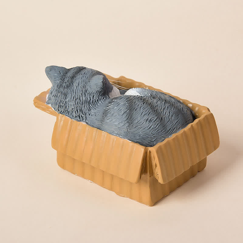 Nimara Ritual Painted Sleeping Cat in Paper Box Resin Cute Animal Decor