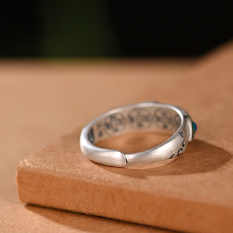 Nimara Ritual Feng Shui Five Emperor Coins Wealth Ring