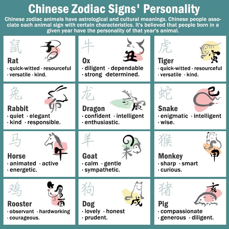 Nimara Ritual Chinese Zodiac Nine Palaces Eight Diagrams Bagua Amulet Harmony Necklace Rotatable Pendant