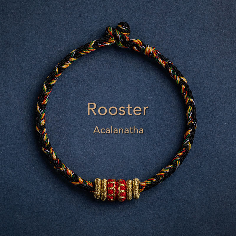 Nimara Ritual Tibet Handmade Chinese Zodiac Natal Buddha Luck Strength Braided String Bracelet
