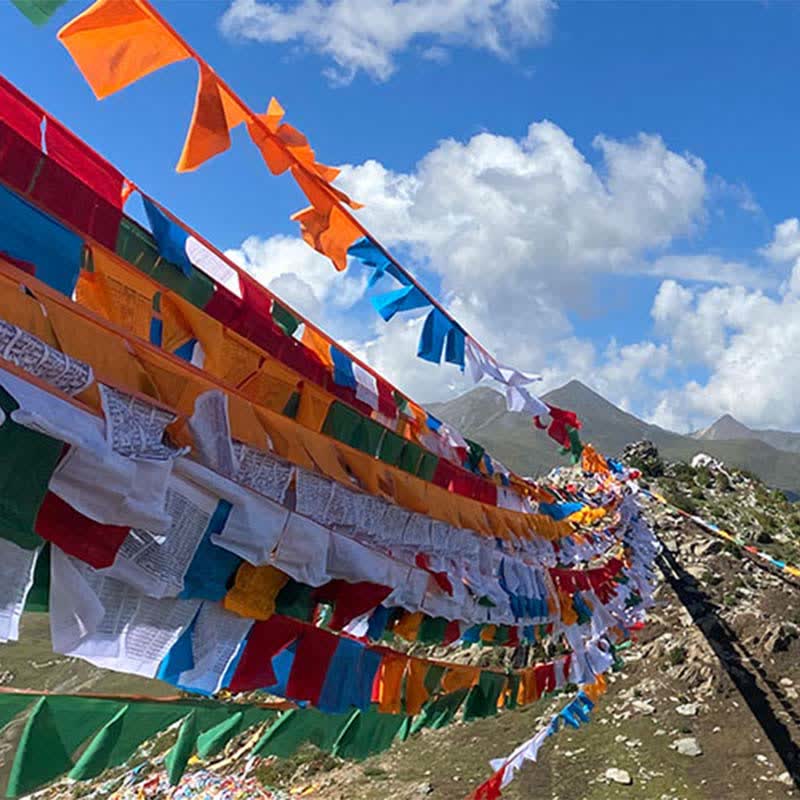 Nimara Ritual Tibetan 5 Colors Windhorse Auspicious Outdoor 25 Pcs Prayer Flag
