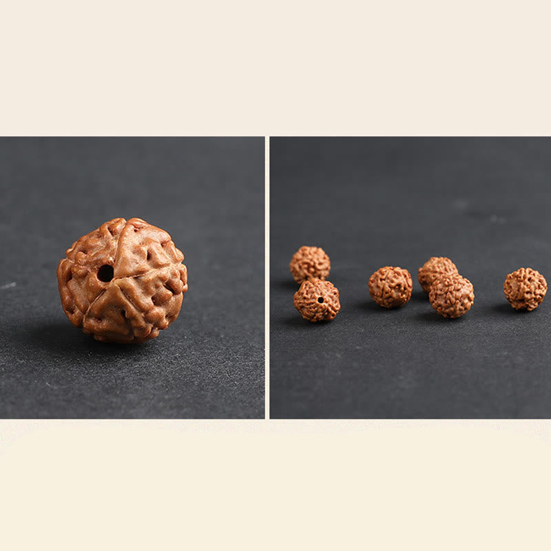 Nimara Ritual Tibet Rudraksha Bodhi Seed PiXiu Copper Coin Wealth Luck Bracelet