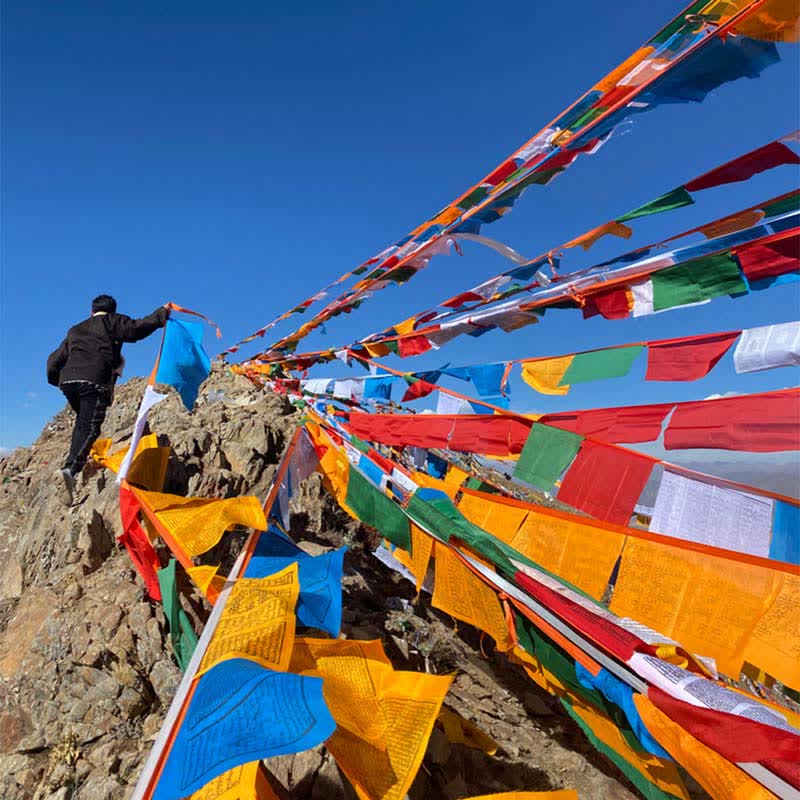 Nimara Ritual Tibetan 5 Colors Windhorse Auspicious Outdoor 25 Pcs Prayer Flag