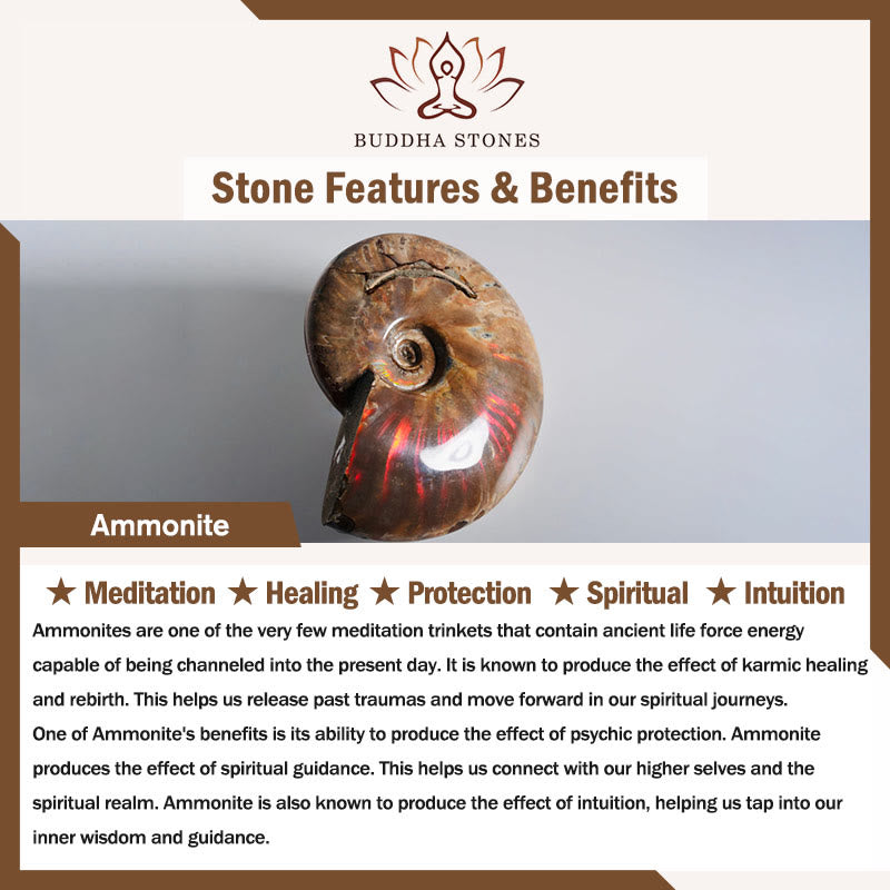 Nimara Ritual Natural Ammonite Fossil Snail Pattern Meditation Healing Necklace Pendant