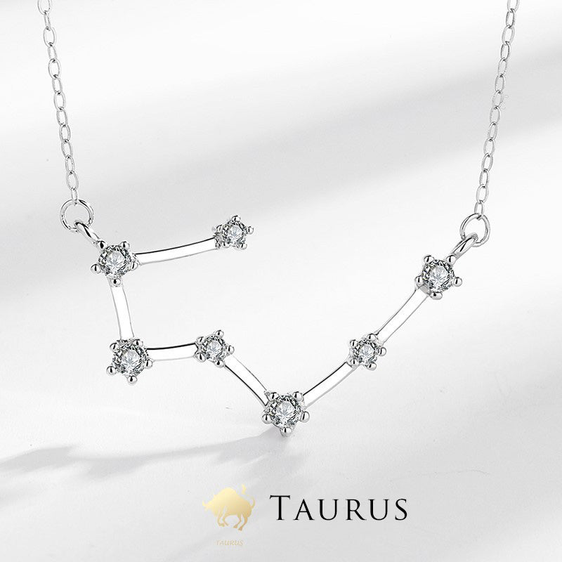 Nimara Ritual 925 Sterling Silver 12 Constellations of the Zodiac Astrology Blessing Necklace Pendant