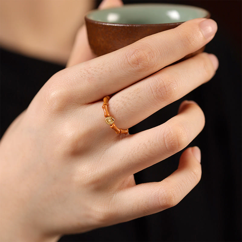 Nimara Ritual Olive Pit Bead Copper Coin Inner Strength Ring
