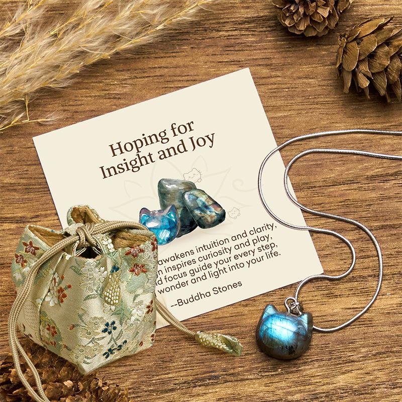 Nimara Ritual "Hoping for Insight and Joy" Cat Labradorite Necklace Includes Gift Message Card