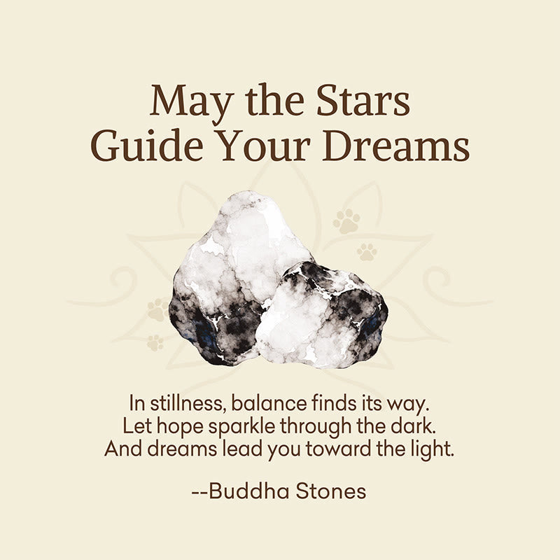 Nimara Ritual "May the Stars Guide Your Dreams" Orca Agate Bracelet Includes Gift Message Card