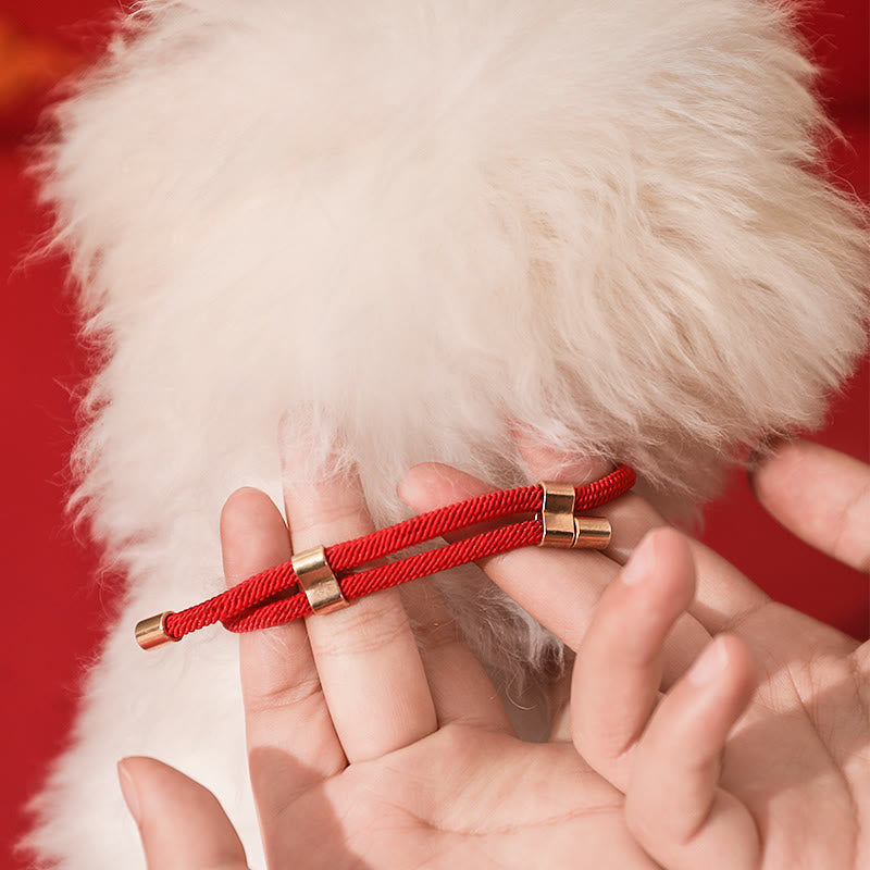 Nimara Ritual Metal Pendant Red String Peace Joy Blessing Protection Adjustable Cats Small Dogs Pet Collar