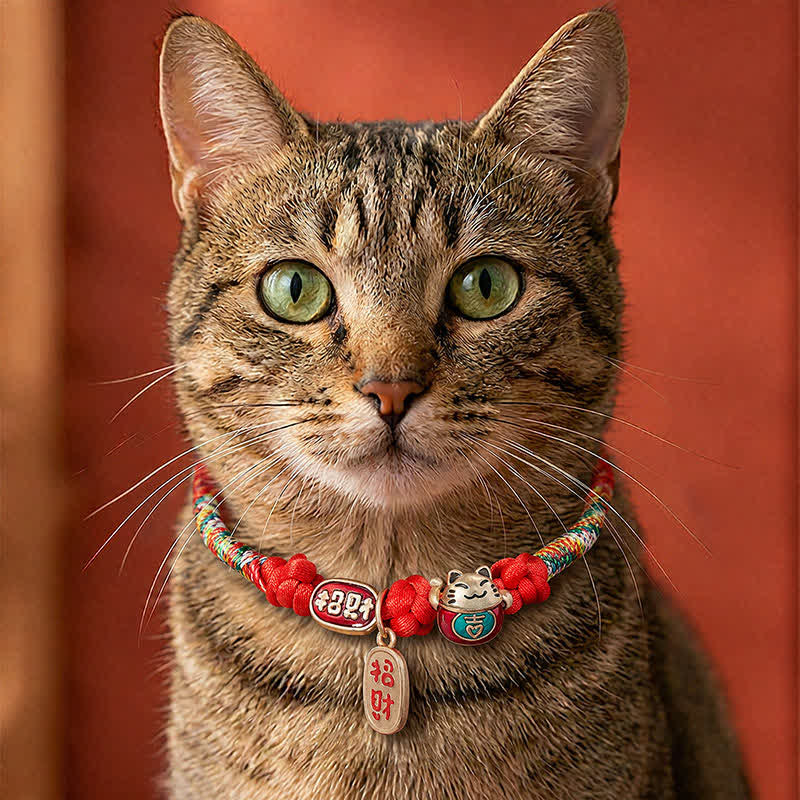 Nimara Ritual Red String Plaited Auspicious Fu Character Protection Adjustable Cats Pet Collar