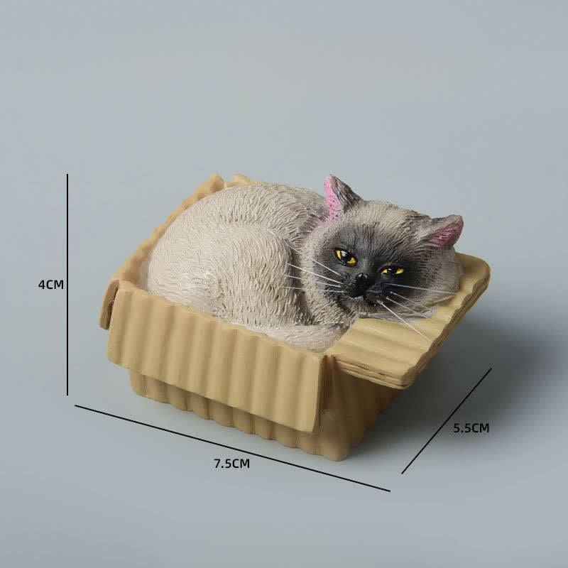 Nimara Ritual Painted Sleeping Cat in Paper Box Resin Cute Animal Decor