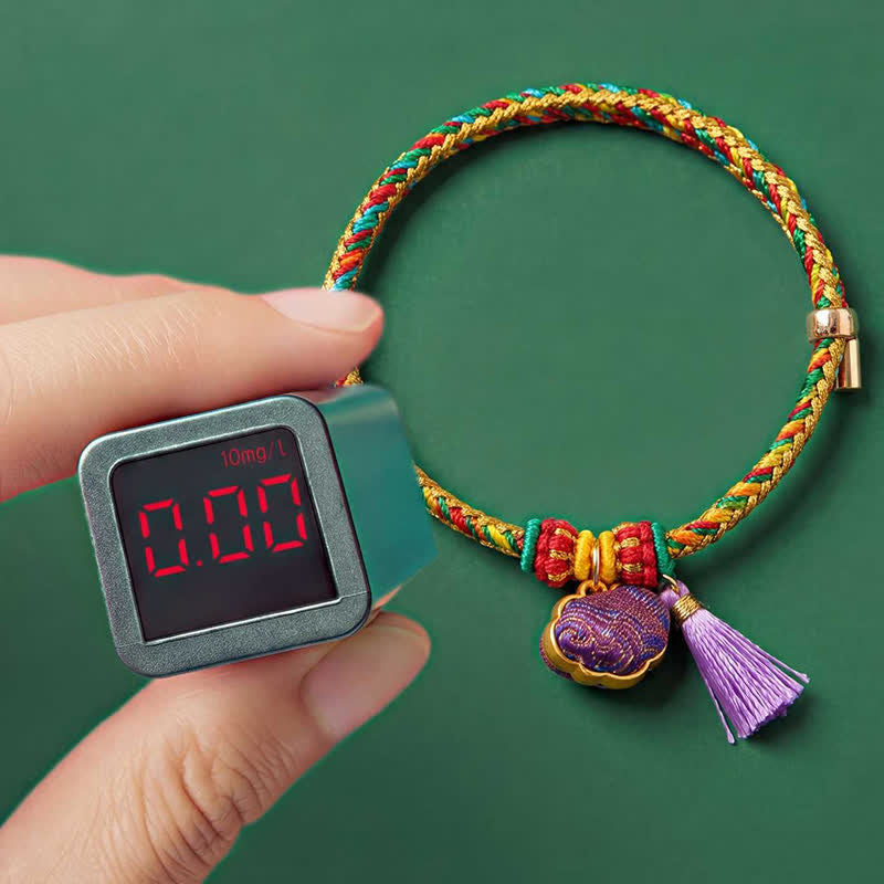 Nimara Ritual Handwoven Five Color Cord Luck Purple Song Brocade Chinese Lock Charm Apple Money Bag Gourd Zongzi Adjustable Bracelet