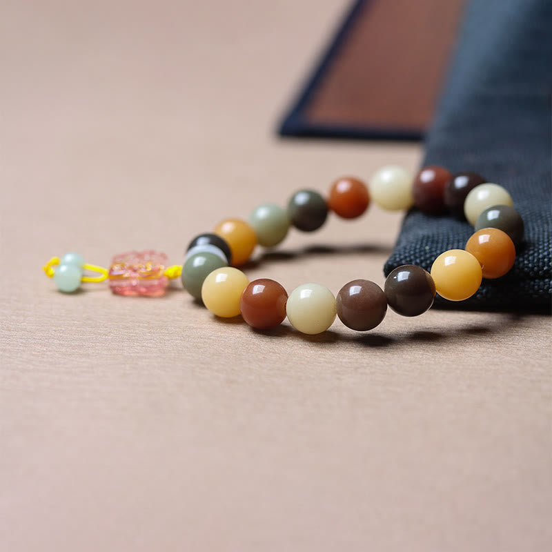 Nimara Ritual Natural Multicolored Gradient Bodhi Seed Liuli Glass Charm Peace Bracelet