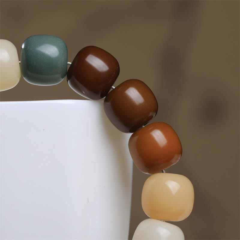 Nimara Ritual Multicolored Bodhi Seed Keep Away Evil Spirits Bracelet