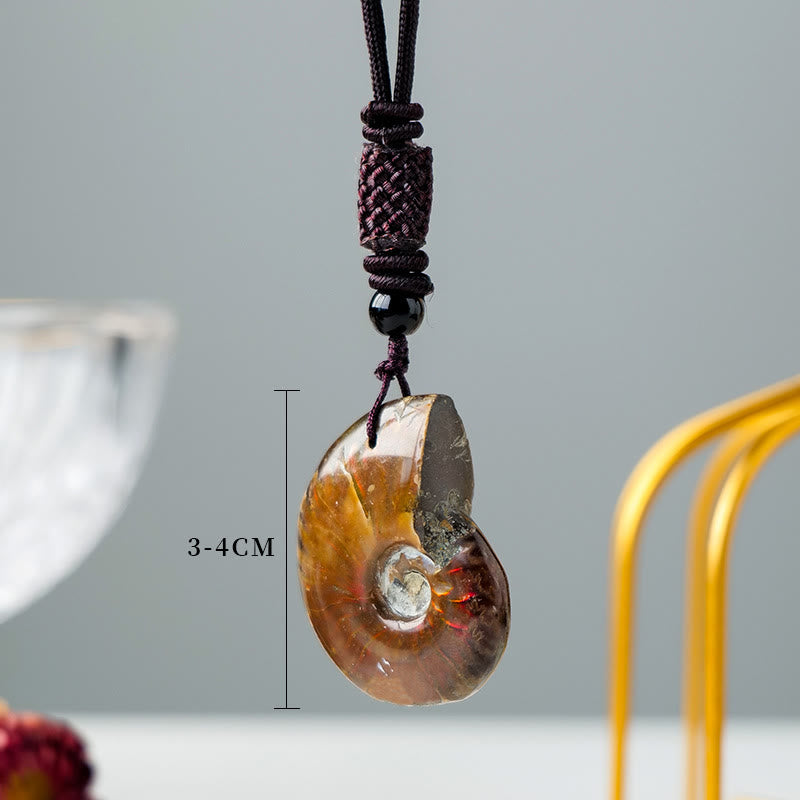 Nimara Ritual Natural Ammonite Fossil Snail Pattern Meditation Healing Necklace Pendant