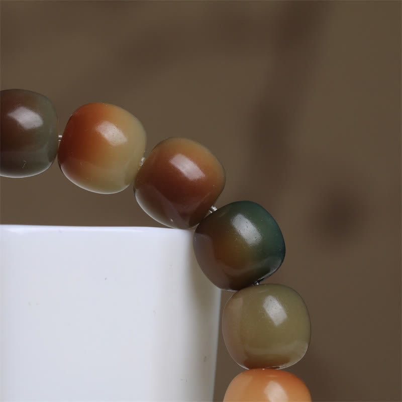 Nimara Ritual Colorful Bodhi Seed Peace Wisdom Bracelet
