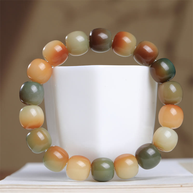 Nimara Ritual Colorful Bodhi Seed Peace Wisdom Bracelet