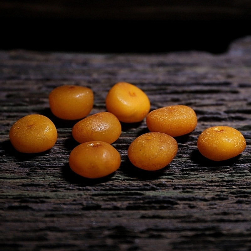 Nimara Ritual 108 Mala Beads Tibet Sheep Horn Amber Luck Bracelet