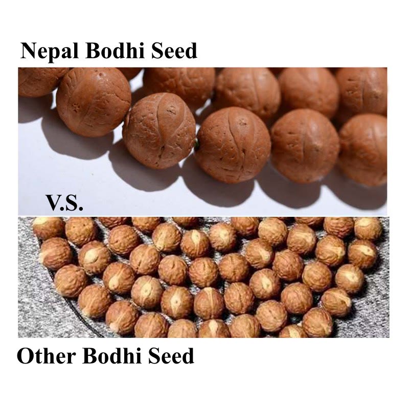 Nimara Ritual 108 Mala Beads Nepal Bodhi Seed Luck Wealth Tassel Bracelet