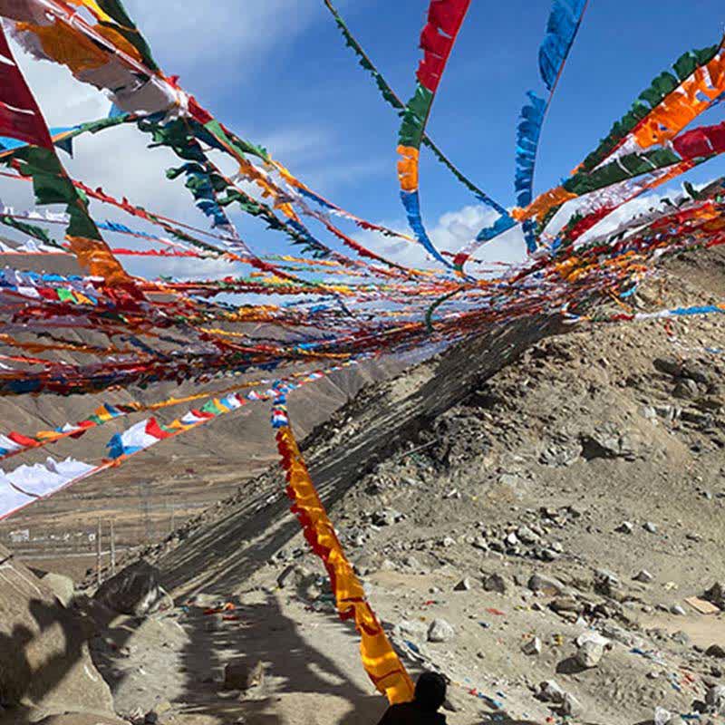 Nimara Ritual Tibetan 5 Colors Windhorse Auspicious Outdoor 25 Pcs Prayer Flag
