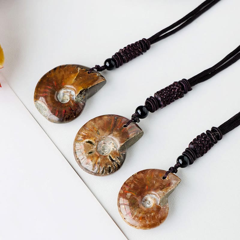 Nimara Ritual Natural Ammonite Fossil Snail Pattern Meditation Healing Necklace Pendant