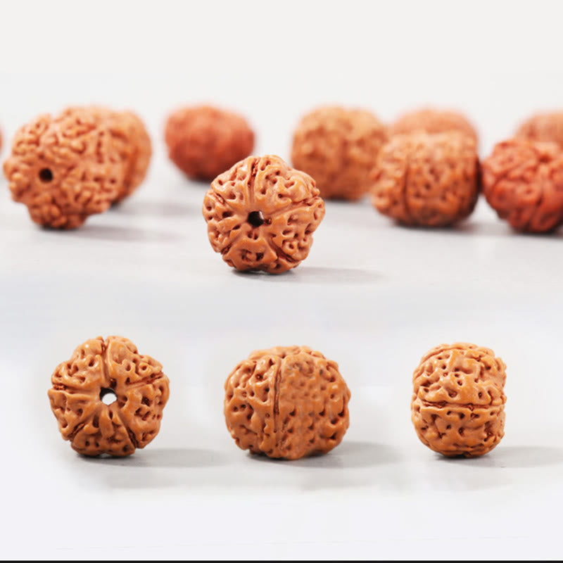 Nimara Ritual Tibet Rudraksha Bodhi Seed Wealth Auspiciousness Bracelet