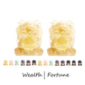 Nimara Ritual Handmade Cute PiXiu Gold Coin Crystal Fengshui Energy Wealth Fortune Home Decoration
