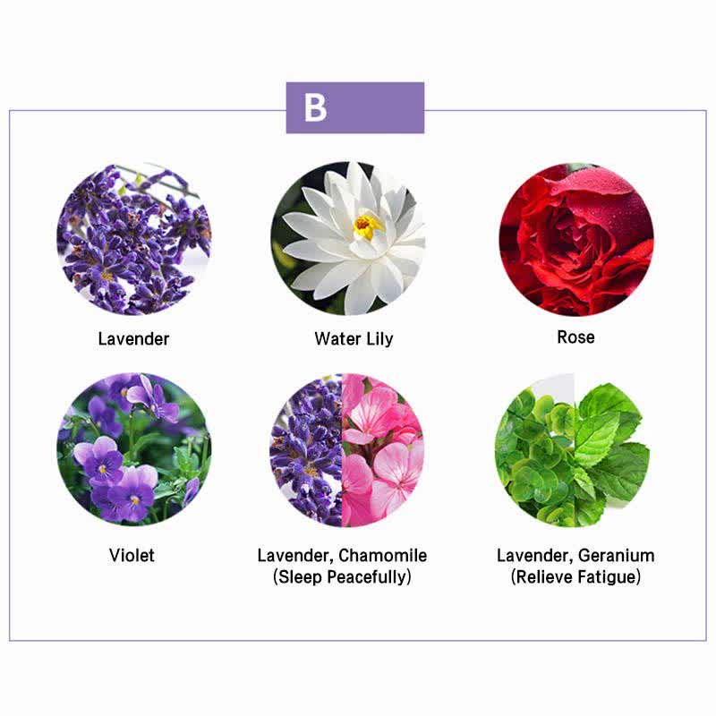 Nimara Ritual 6Pcs Lavender Orange Jasmine Lemongrass Soothing Aromatherapy Healing Essential Oils Set
