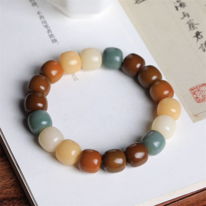 Nimara Ritual Multicolored Bodhi Seed Keep Away Evil Spirits Bracelet